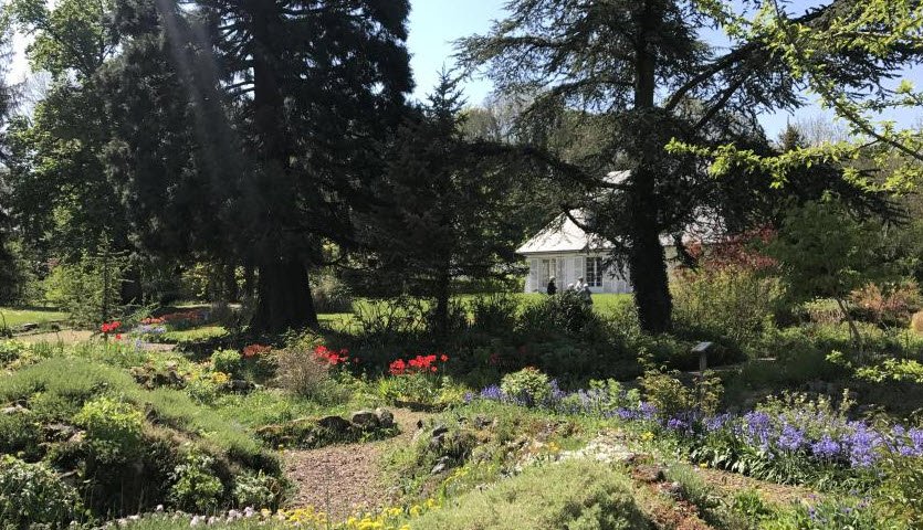 Jardin Botanique Floralpina, Arras, France